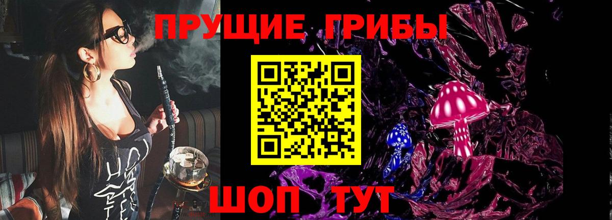 Вятские Поляны  Галлюциногенные грибы ЛСД  Вход с VPN 